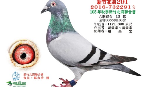 牦牛奶粉和普通奶粉有什么区别-奶粉有什么区别网 - 网站提供驼乳粉和驼奶粉有什么区别小常识、三段奶粉和二段奶粉有什么区别