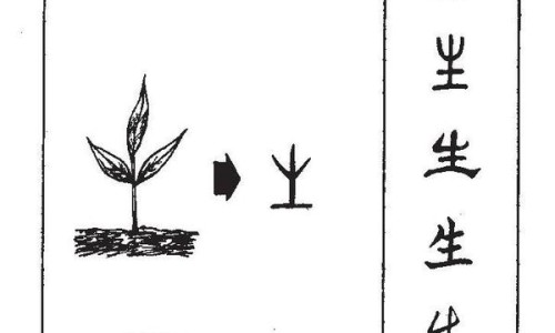 牦牛奶粉和普通奶粉有什么区别-奶粉有什么区别网 - 网站提供驼乳粉和驼奶粉有什么区别小常识、三段奶粉和二段奶粉有什么区别